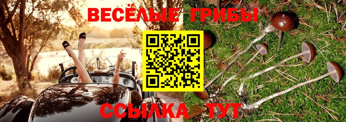 Конопля  Вход с VPN  Cocaine  ГАШ  Карасук  Мефедрон кристаллы 