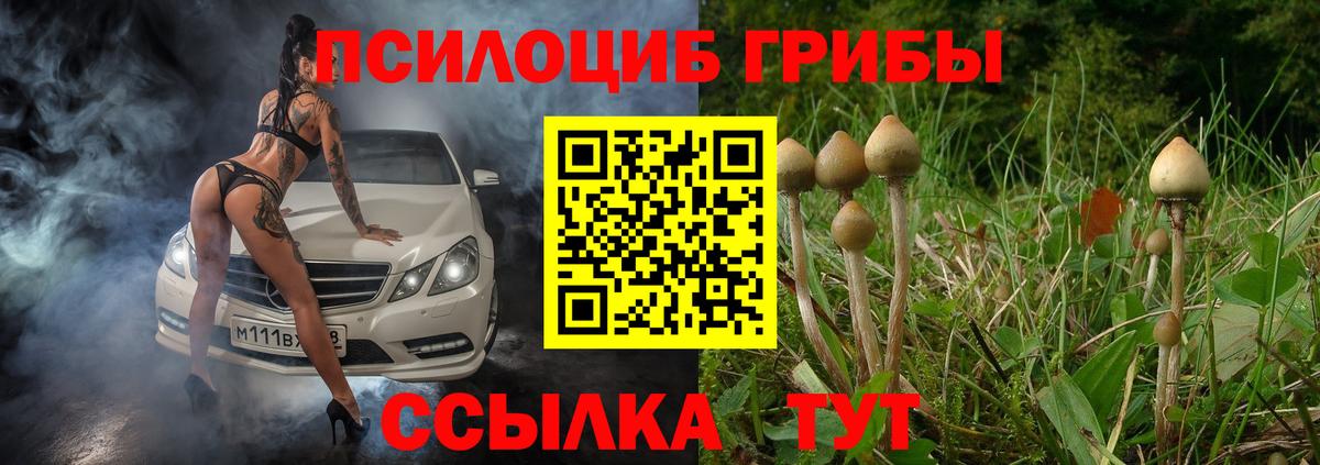 Карасук  Галлюциногенные грибы ЛСД  Вход с VPN 